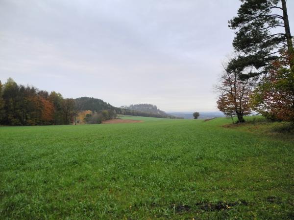 DSCN7710.JPG