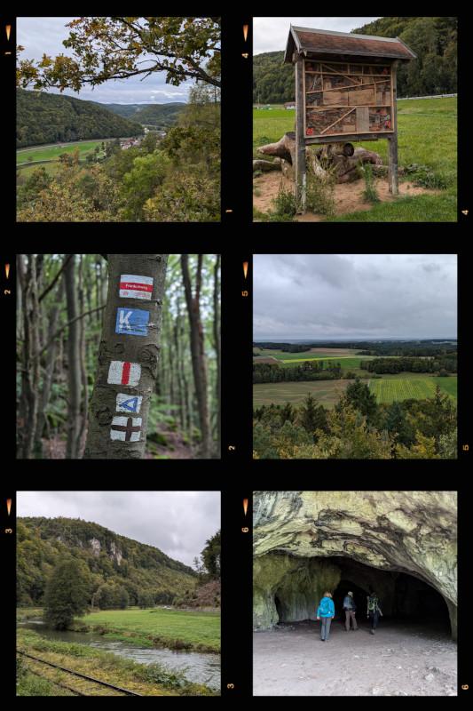 20241004_164136-COLLAGE.jpg