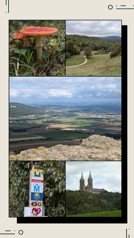20241006_151437-COLLAGE.jpg