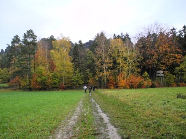 DSCN7709.JPG