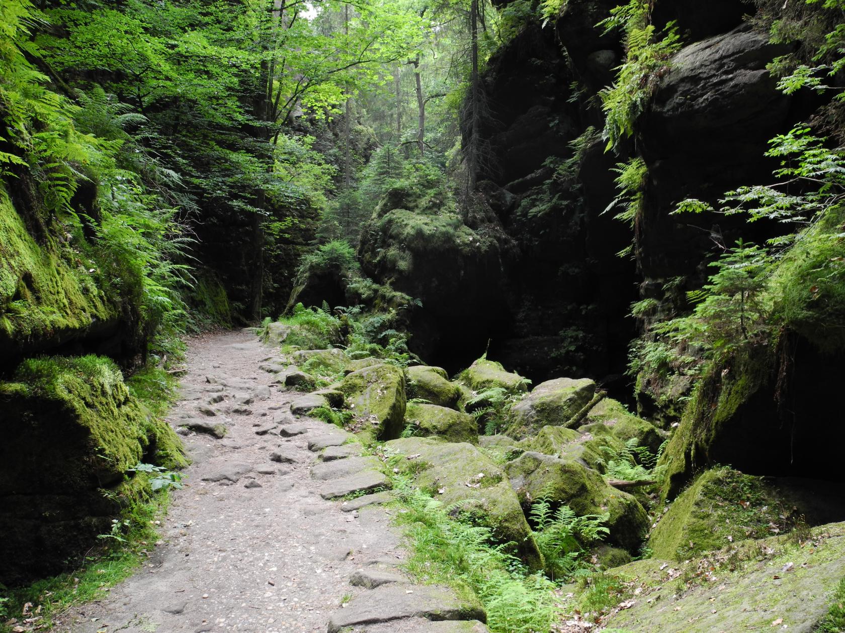 DSCN6548.JPG