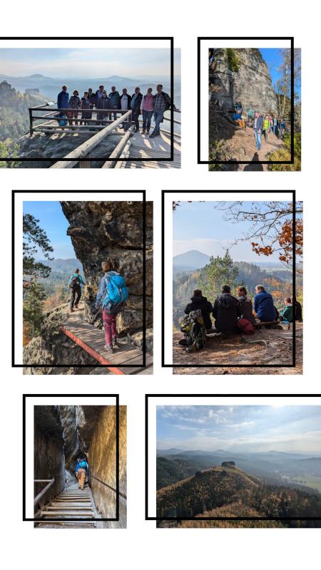 20241026_203555-COLLAGE.jpg
