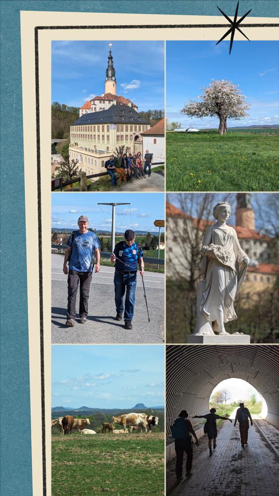 20240406_213441-COLLAGE.jpg