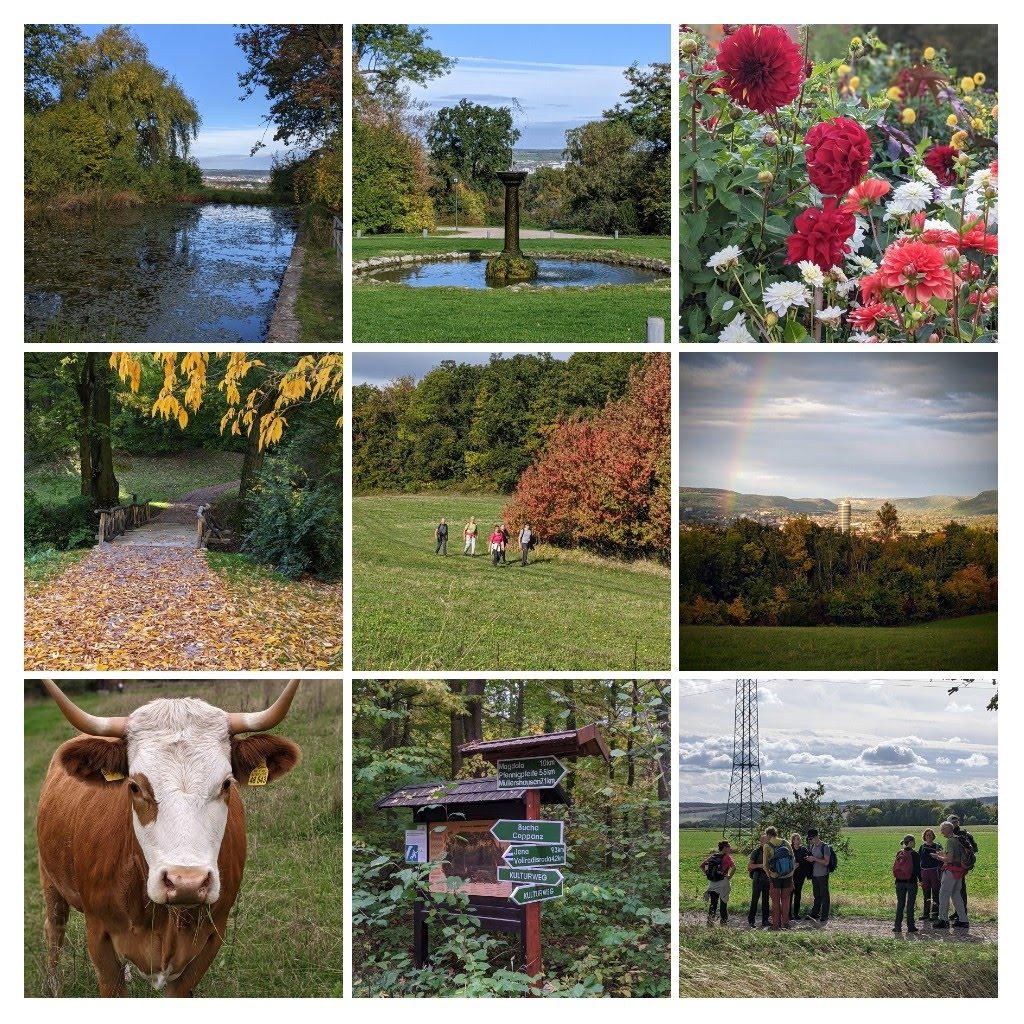 20221008_192521-COLLAGE.jpg
