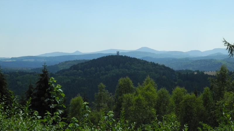 SW2015_07.JPG