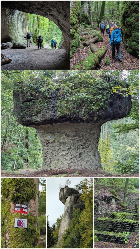 20260726_194648-COLLAGE.jpg