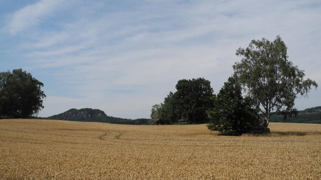 SW2016_10.JPG