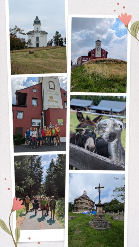 20240803_171047-COLLAGE.jpg