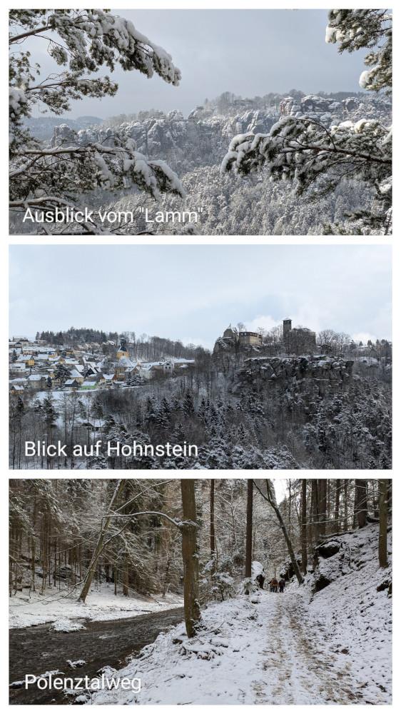 20250215_150309-COLLAGE~2.jpg